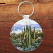 Scottsdale succulent Sunset Sleutelhanger (Voorkant)