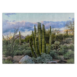 Scottsdale Succulent Sunset Snijplank