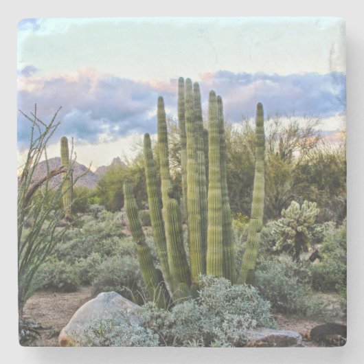 Scottsdale Succulent Sunset Stenen Onderzetter (Voorkant)