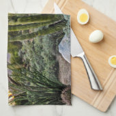 Scottsdale Succulent Sunset Theedoek (Quarter Fold)