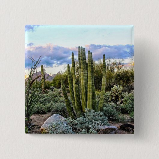 Scottsdale Succulent Sunset Vierkante Button 5,1 Cm (Voorkant)