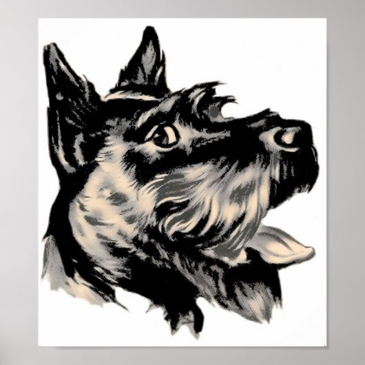 Scotty Dog Poster (Voorkant)