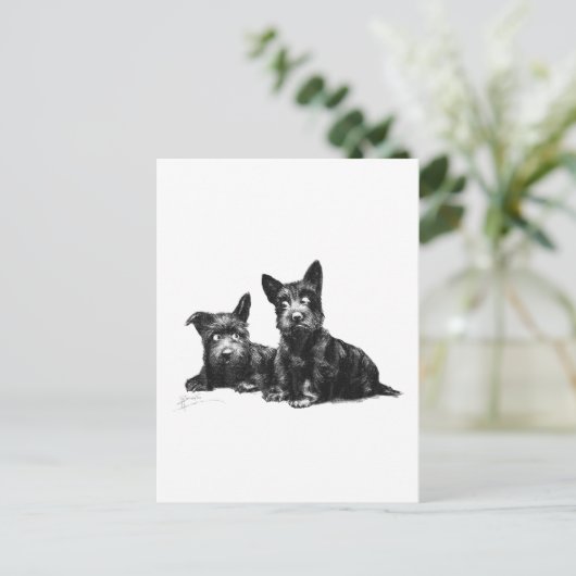 SCOTTY DOGS CONTROLEREN EN OPNIEUW CONTROLEREN BRIEFKAART (Staand voorkant)