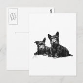 SCOTTY DOGS CONTROLEREN EN OPNIEUW CONTROLEREN BRIEFKAART (Voorkant / Achterkant)