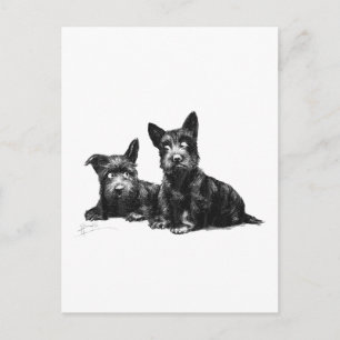 SCOTTY DOGS CONTROLEREN EN OPNIEUW CONTROLEREN BRIEFKAART