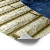 Scotty Vanity Flower Poster (Hoek)