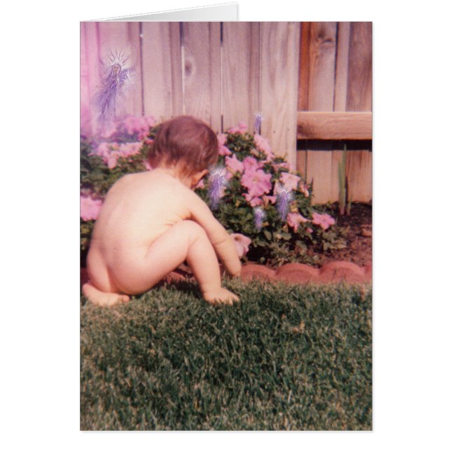 Scotty's Garden (Voorkant)