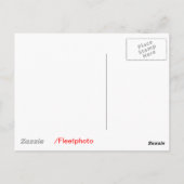 Scotus by Successful Appeal-Divine Briefkaart (Achterkant)