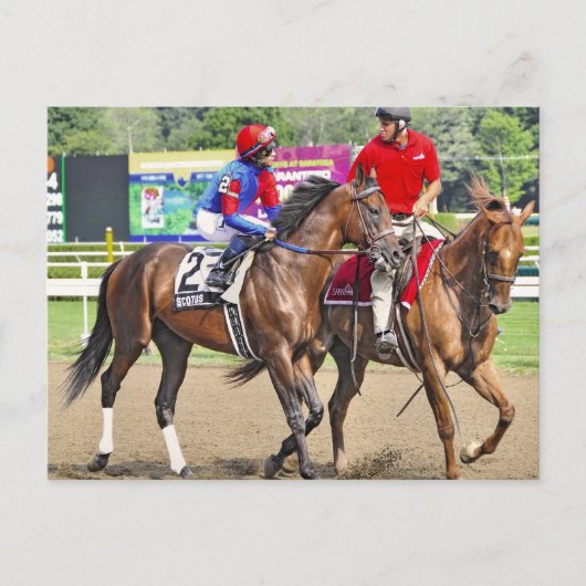 Scotus by Successful Appeal-Divine Briefkaart (Voorkant)