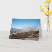 Scout Scar Cumbria England Holiday Card Kaart (Gele Bloem)