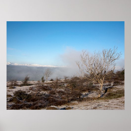 Scout Scar Cumbria England Holiday Card Poster (Voorkant)