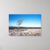 Scout Scar Holiday Card Canvas Afdruk (Voorkant)