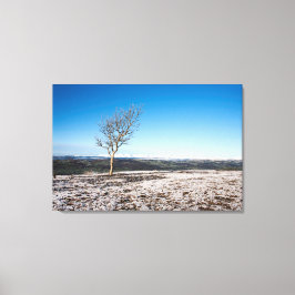 Scout Scar Holiday Card Canvas Afdruk