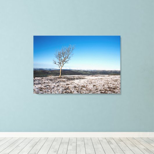 Scout Scar Holiday Card Canvas Afdruk (Insitu (Houten vloer))