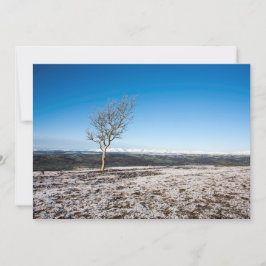 Scout Scar Holiday Card Feestdagenkaart