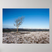 Scout Scar Holiday Card Poster (Voorkant)