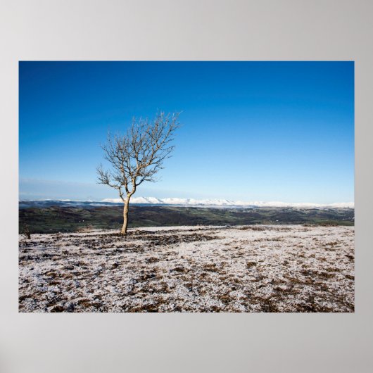 Scout Scar Holiday Card Poster (Voorkant)