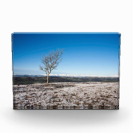 Scout Scar Holiday Card Poster Fotoblokken