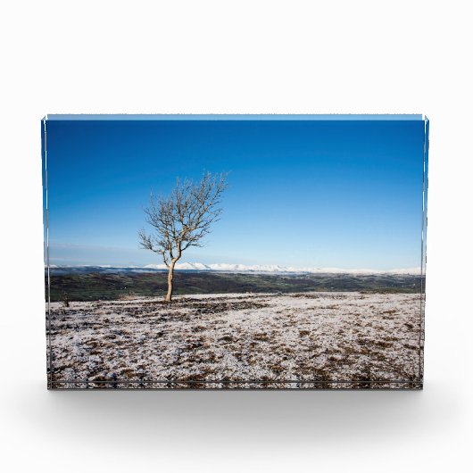 Scout Scar Holiday Card Poster Fotoblokken (Voorkant)