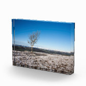 Scout Scar Holiday Card Poster Fotoblokken (Rechts)