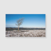 Scout Scar winter Lake District England (Voorkant)