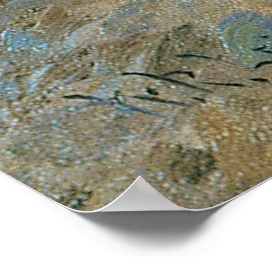 Scout van William Robinson Leigh Poster (Hoek)