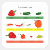 Scoville Heat Units Chili Pepper Chart  Vierkante Sticker (Voorkant)