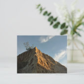 Scraggly Torrey Pine bij Sunset California Coast Briefkaart (Staand voorkant)