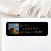 Scraggly Torrey Pine bij Sunset California Coast Etiket (Insitu)