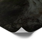 Scraggly Torrey Pine bij Sunset California Coast Poster (Hoek)