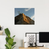 Scraggly Torrey Pine bij Sunset California Coast Poster (Thuiskantoor)