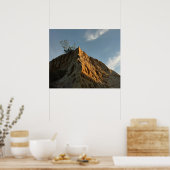 Scraggly Torrey Pine bij Sunset California Coast Poster (Keuken)