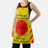 SCRAM-besturing, noodstop kernreactor Schort (Insitu)