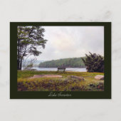 Scranton PA-Lake Scranton Post Kaart (Voorkant)