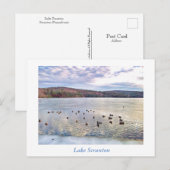 Scranton PA-Lake Scranton Post Kaart-Ducks Briefkaart (Voorkant / Achterkant)