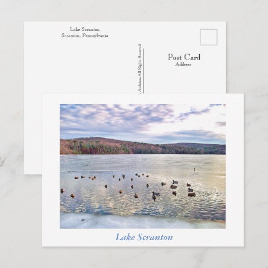 Scranton PA-Lake Scranton Post Kaart-Ducks Briefkaart (Voorkant / Achterkant)