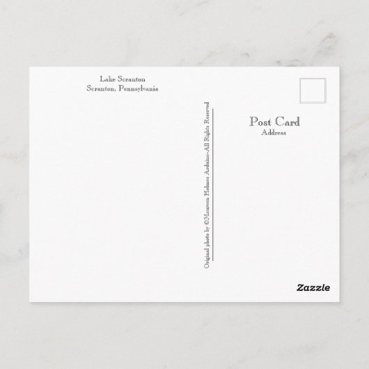 Scranton PA-Lake Scranton Post Kaart-Ducks Briefkaart (Achterkant)