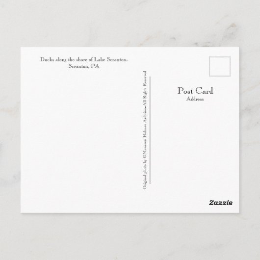 Scranton PA-Lake Scranton Post Kaart-Ducks Briefkaart (Achterkant)