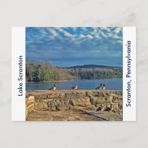 Scranton PA-Lake Scranton Post Kaart-Ducks Briefkaart