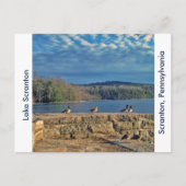 Scranton PA-Lake Scranton Post Kaart-Ducks Briefkaart (Voorkant)