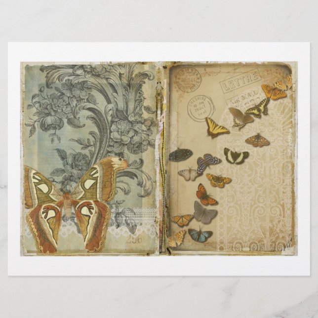Scrapbook paper over moth and Butterfly (Voorkant)