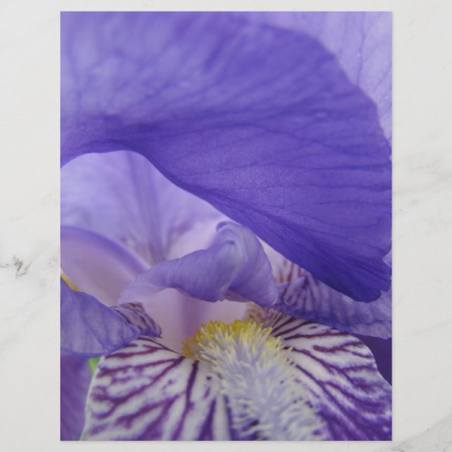 Scrapbook paper Paars Iris Flowers Irises Floral (Voorkant)