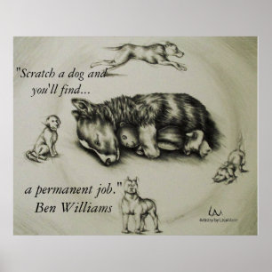 Scratch a Dog - Poster voor het slapen van de hond