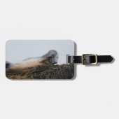 Scratching Seal Bagagelabel (Voorkant horizontaal)