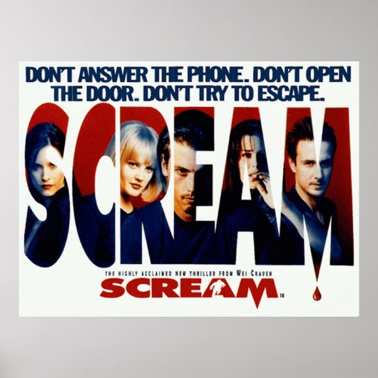 Scream Horror Movie Original Poster (Voorkant)