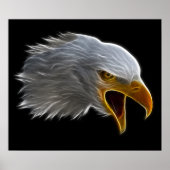 Screaming American Bald Eagle Head Poster (Voorkant)