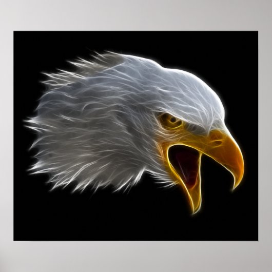 Screaming American Bald Eagle Head Poster (Voorkant)