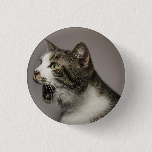 Screaming Cat Pin Ronde Button 3,2 Cm (Voorkant)