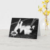 Screaming Cat Verlate Verjaardag Kaart (Gele Bloem)