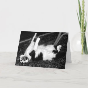 Screaming Cat Verlate Verjaardag Kaart